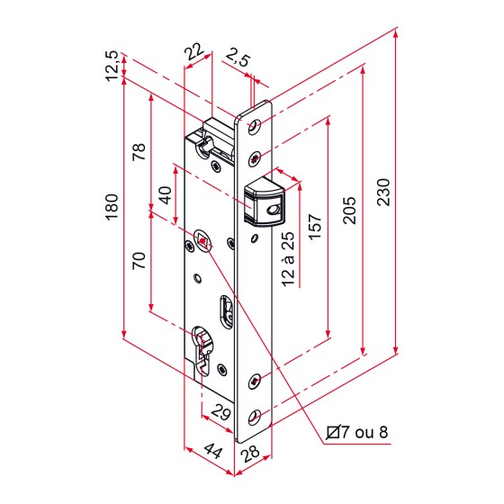 Serrure portail battant axe 29 carré de 8 reversible à larder zamak - inox