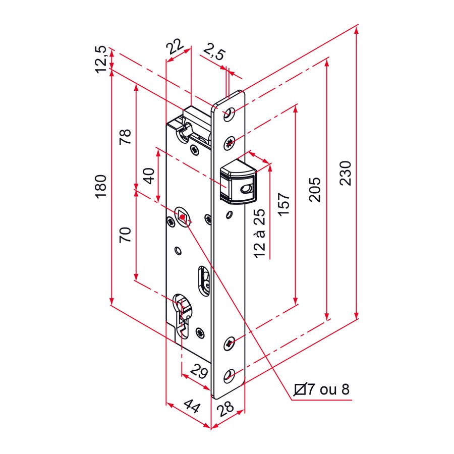 Serrure portail battant axe 29 carré de 8 reversible à larder zamak - inox